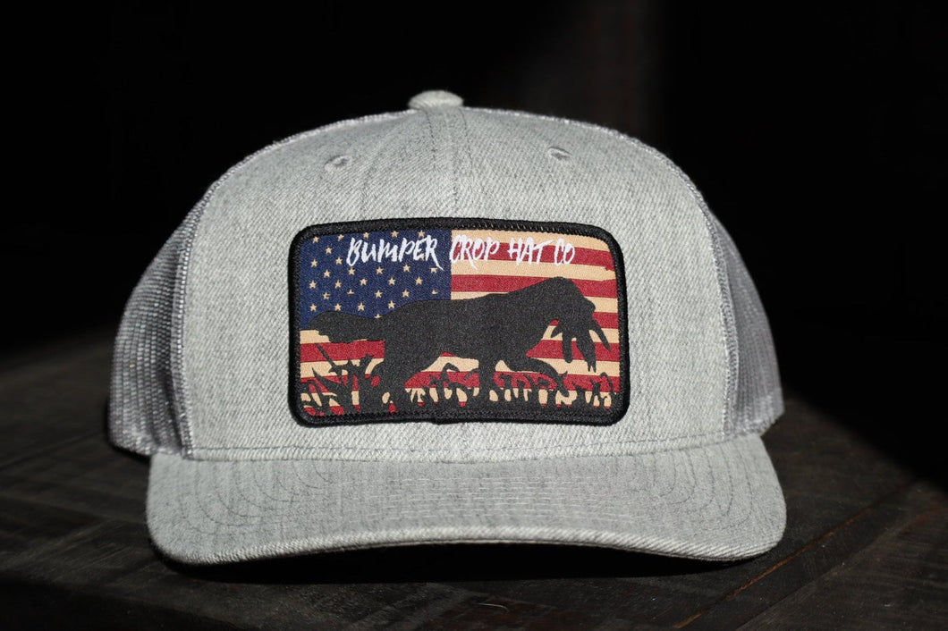 Bumper Crop American Dog hat