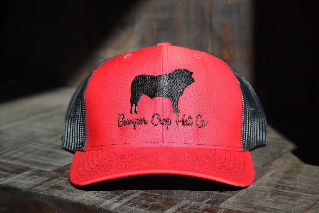 Bumper Crop Bull Hat