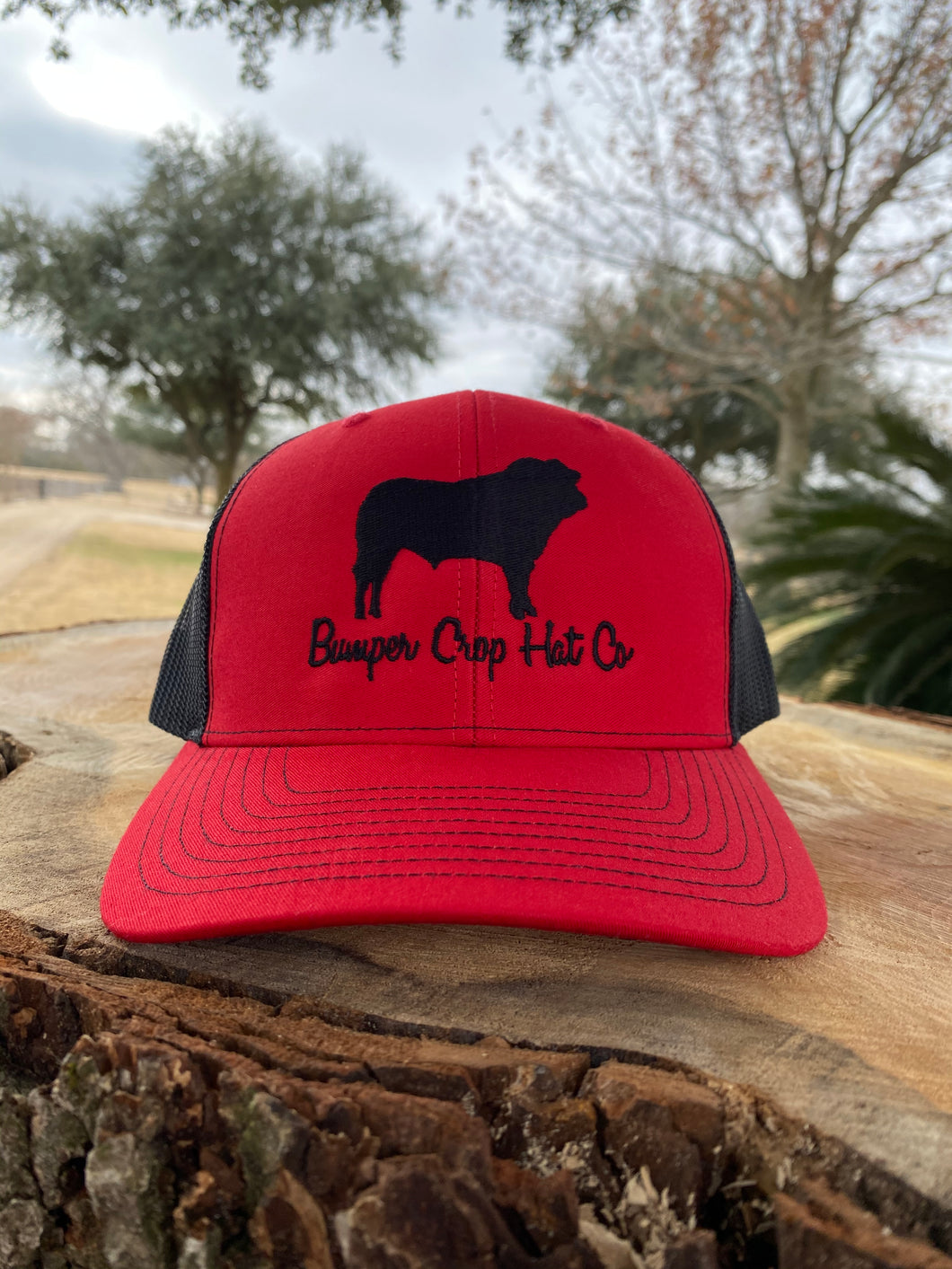 Bumper Crop Bull Hat